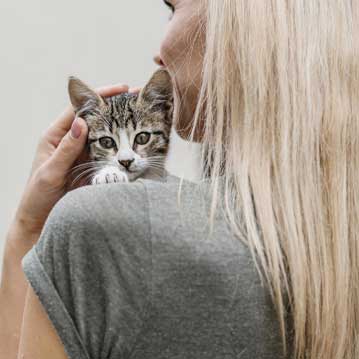 Divorcio de mutuo acuerdo en España